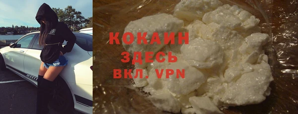 твердый Козловка