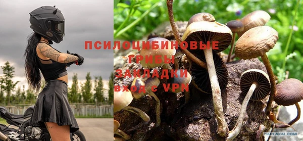 PSILOCYBIN Архангельск