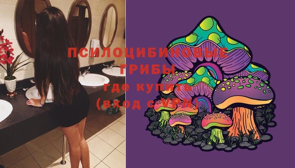 твердый Козловка