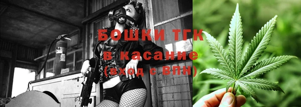 твердый Козловка