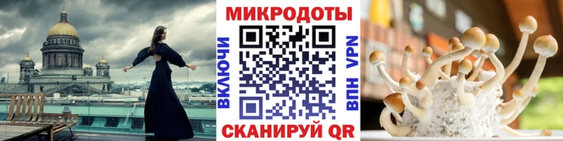 Псилоцибиновые грибы Cubensis  Советск 