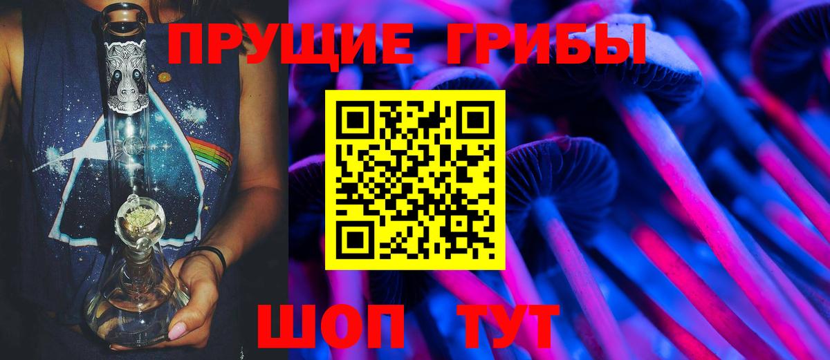 Псилоцибиновые грибы мицелий Советск