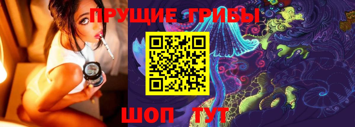 Советск  Галлюциногенные грибы Cubensis  Вход с VPN 